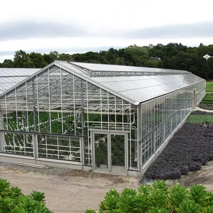 Участок в Омская область, Омский район, с. Пушкино  (59.0 сот.) - Фото 1