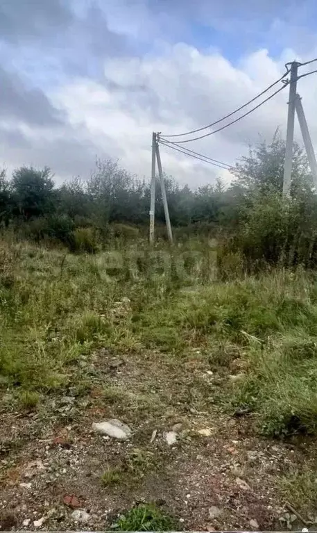 Участок в Калининградская область, Багратионовск  (7.52 сот.) - Фото 1