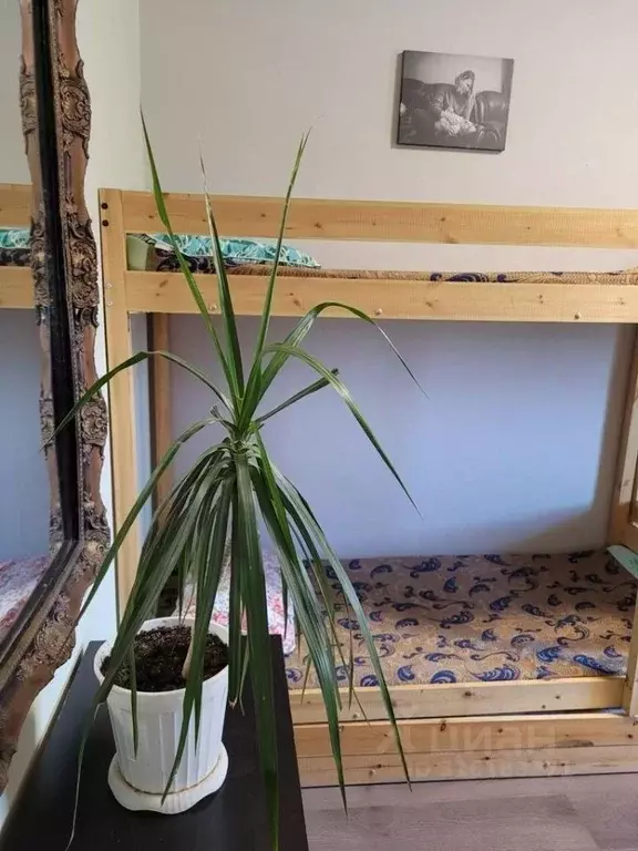 Комната Башкортостан, Уфа ул. Рихарда Зорге, 11/1 (15.0 м) - Фото 2