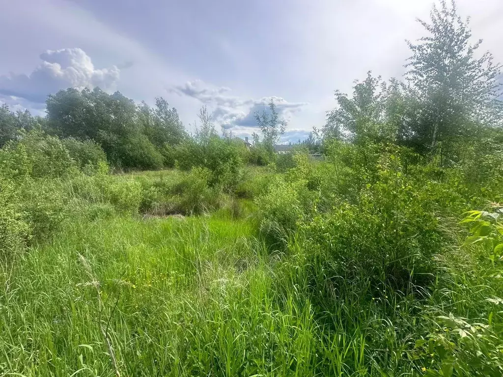 Участок в Московская область, Богородский городской округ, д. ... - Фото 0