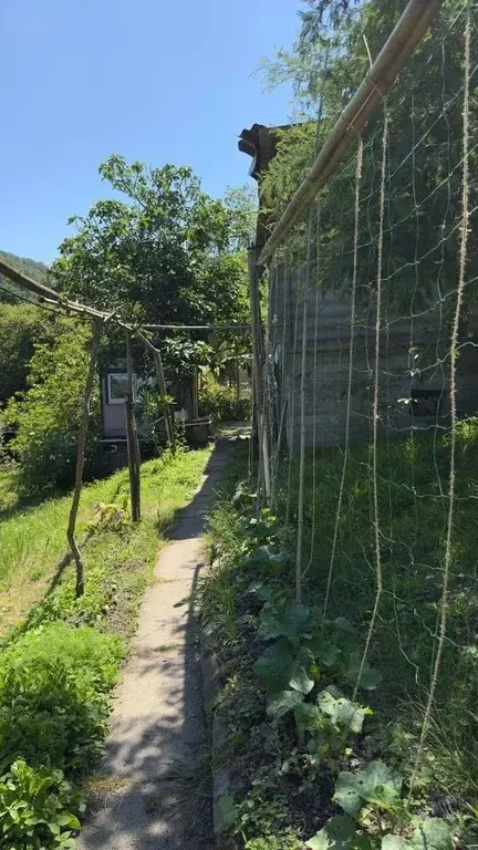 Участок в Краснодарский край, Сочи Головинка мкр, ул. Центральная, 43 ... - Фото 2