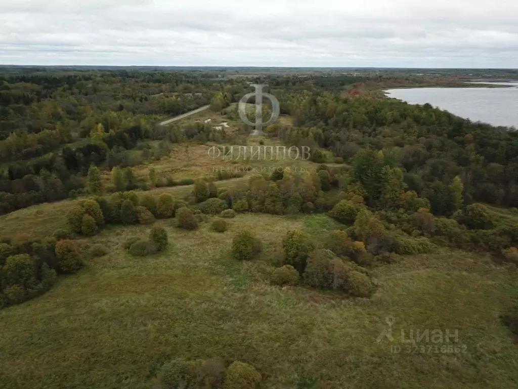Участок в Новгородская область, Боровичский район, Железковское с/пос, ... - Фото 2