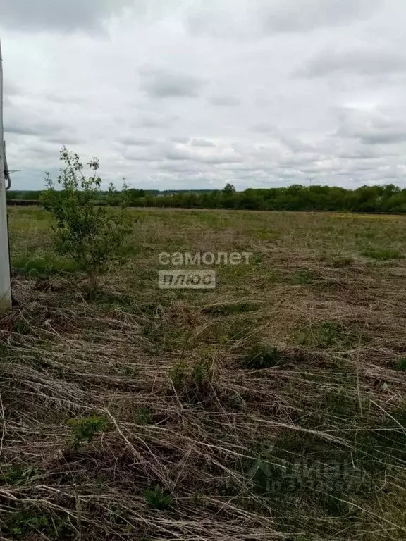 Участок в Башкортостан, Кушнаренковский сельсовет, с. Кушнаренково ул. ... - Фото 1