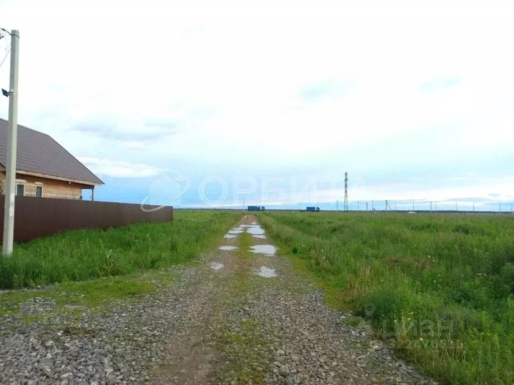 Участок в Тюменская область, Тюменский муниципальный округ, д. Елань ... - Фото 2