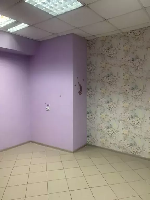 Помещение свободного назначения в Московская область, Дмитров ... - Фото 2