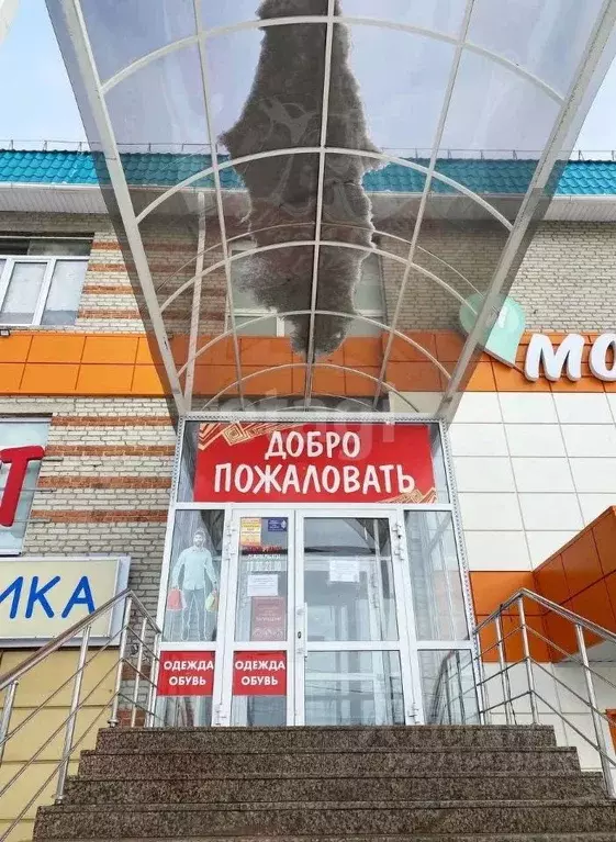 Офис в Курганская область, Шадринск Комсомольская ул., 16А (1372 м) - Фото 1