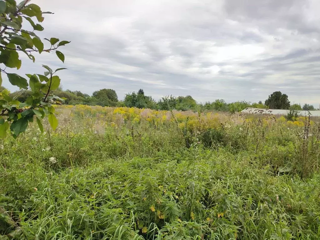 Участок в Новгородская область, Новгородский район, Бронницкое с/пос, ... - Фото 1