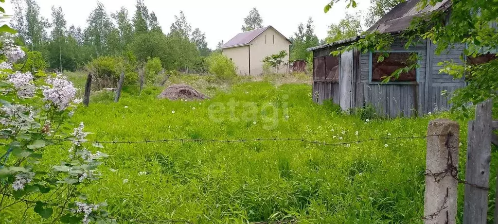 Дом в село Скворцово, СНТ Скворцово (24 м) - Фото 1