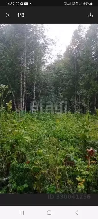 Участок в Алтай, Турочакский район, с. Артыбаш ул. Серебряная (10.0 ... - Фото 1