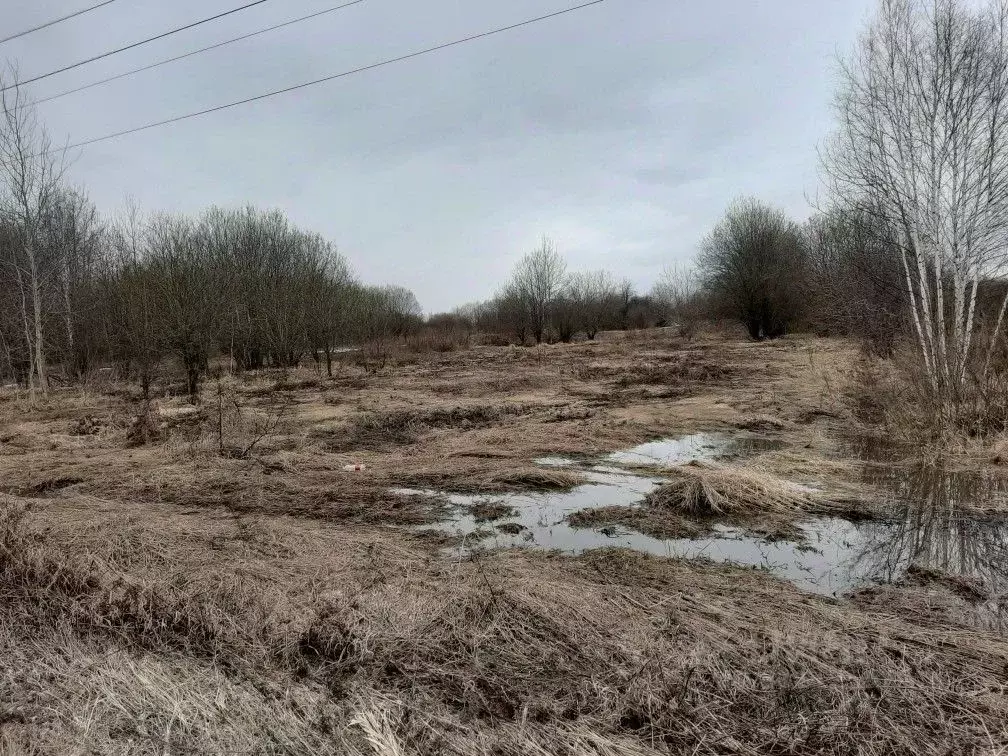 Участок в Московская область, Егорьевск городской округ, д. Юрцово  ... - Фото 1