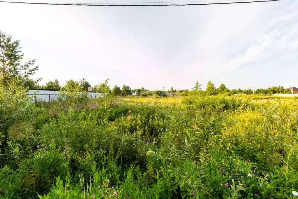 Участок в Тюменская область, Тюменский муниципальный округ, с. ... - Фото 1