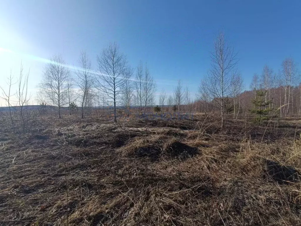 Участок в Нижегородская область, Богородский муниципальный округ, д. ... - Фото 0