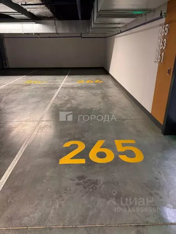Гараж в Новосибирская область, Новосибирск ул. Кирова, 50 (32 м) - Фото 0