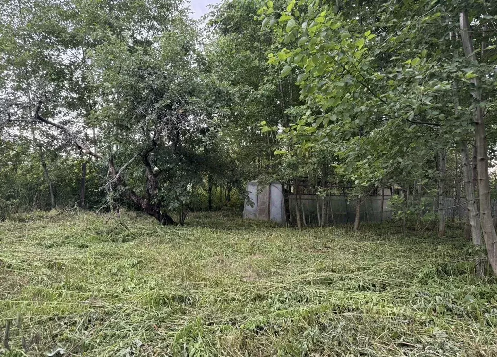 Участок в Ленинградская область, Кировский район, Мгинское городское ... - Фото 2