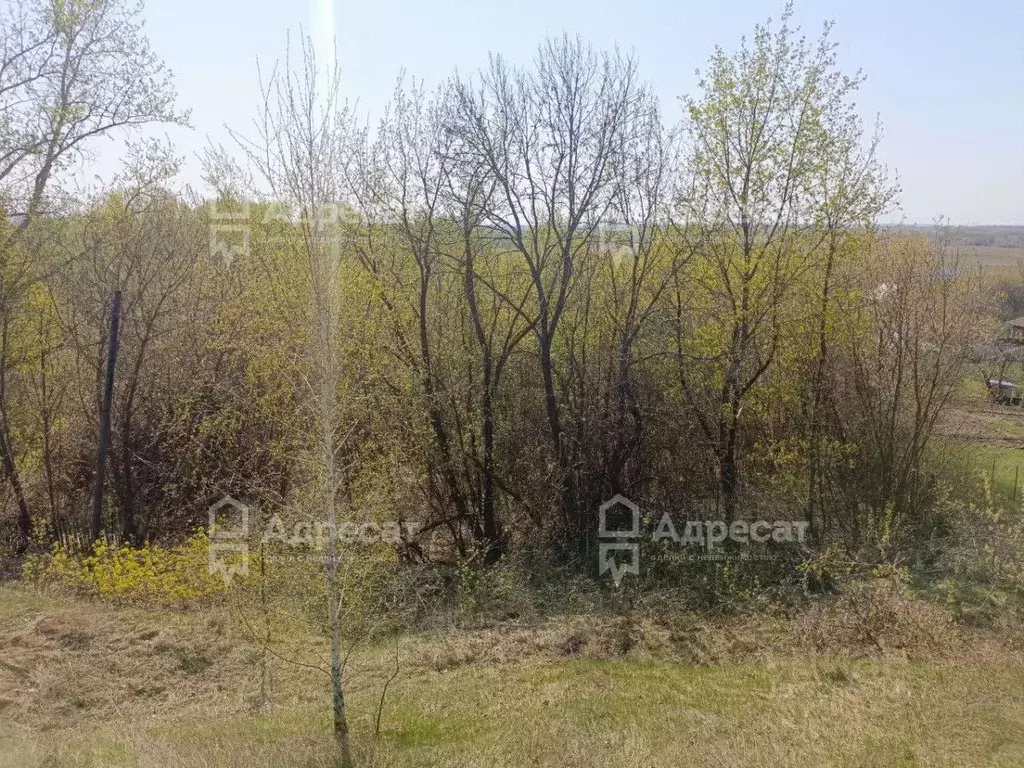 Участок в Рязанская область, Рыбновский муниципальный округ, с. ... - Фото 2