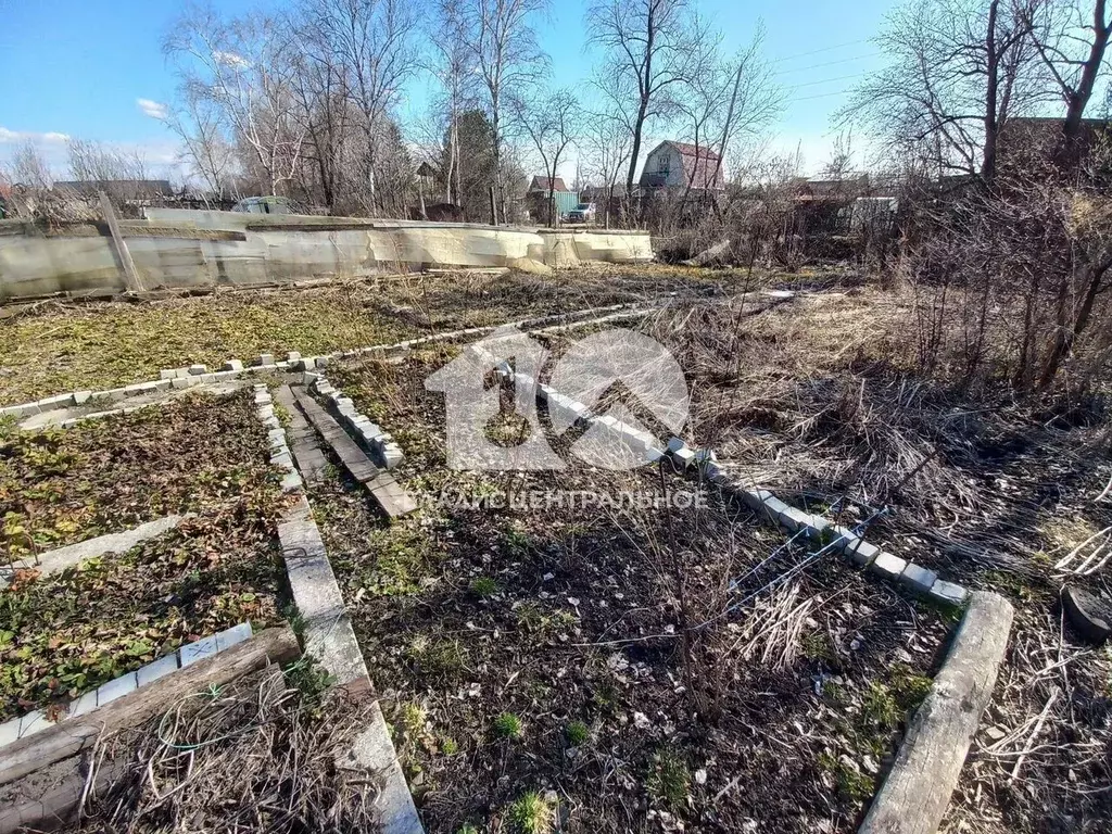 Участок в Новосибирская область, Новосибирск Строитель СНТ, 191 (4.55 ... - Фото 0