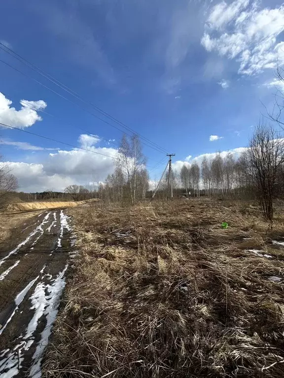 Участок в Московская область, Богородский городской округ, д. Калитино ... - Фото 1
