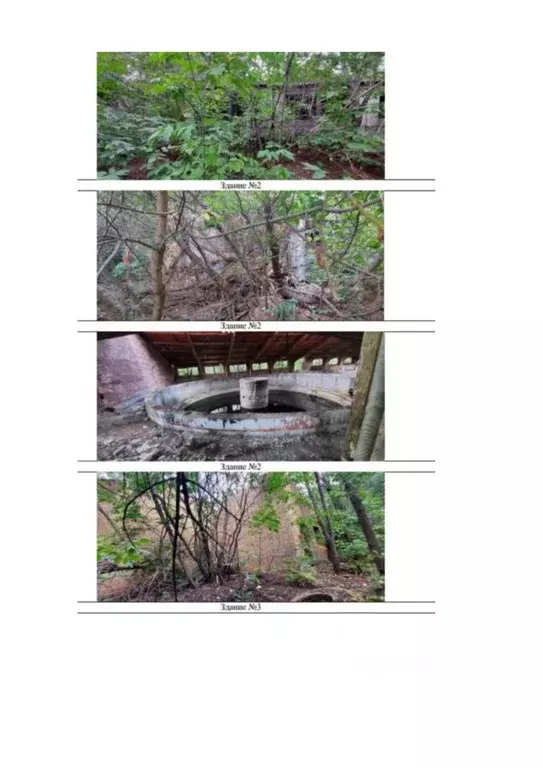 Помещение свободного назначения в Самарская область, Кинельский район, ... - Фото 2