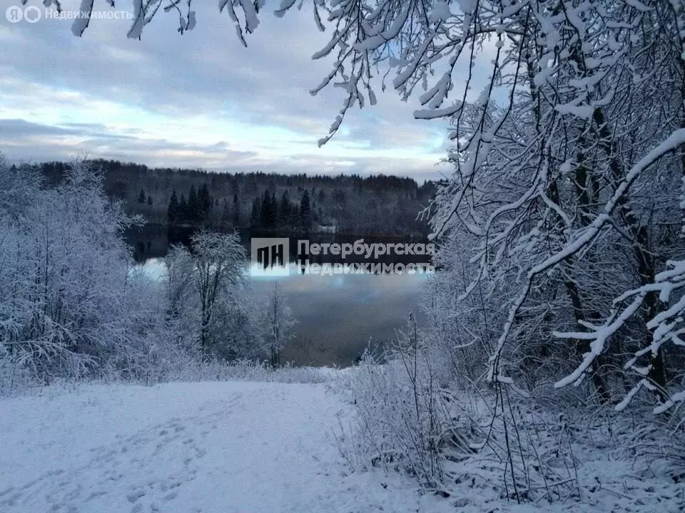 Участок в Рощинское сельское поселение, деревня Борисово, Лесная улица ... - Фото 2