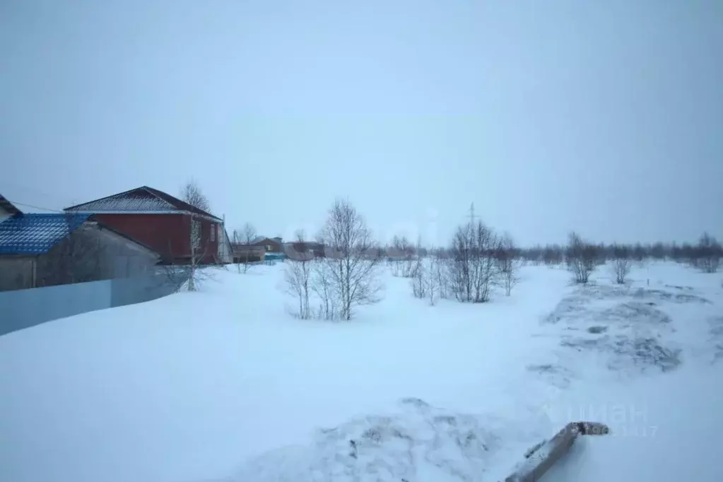 Участок в Ямало-Ненецкий АО, Новый Уренгой  (6.0 сот.) - Фото 0