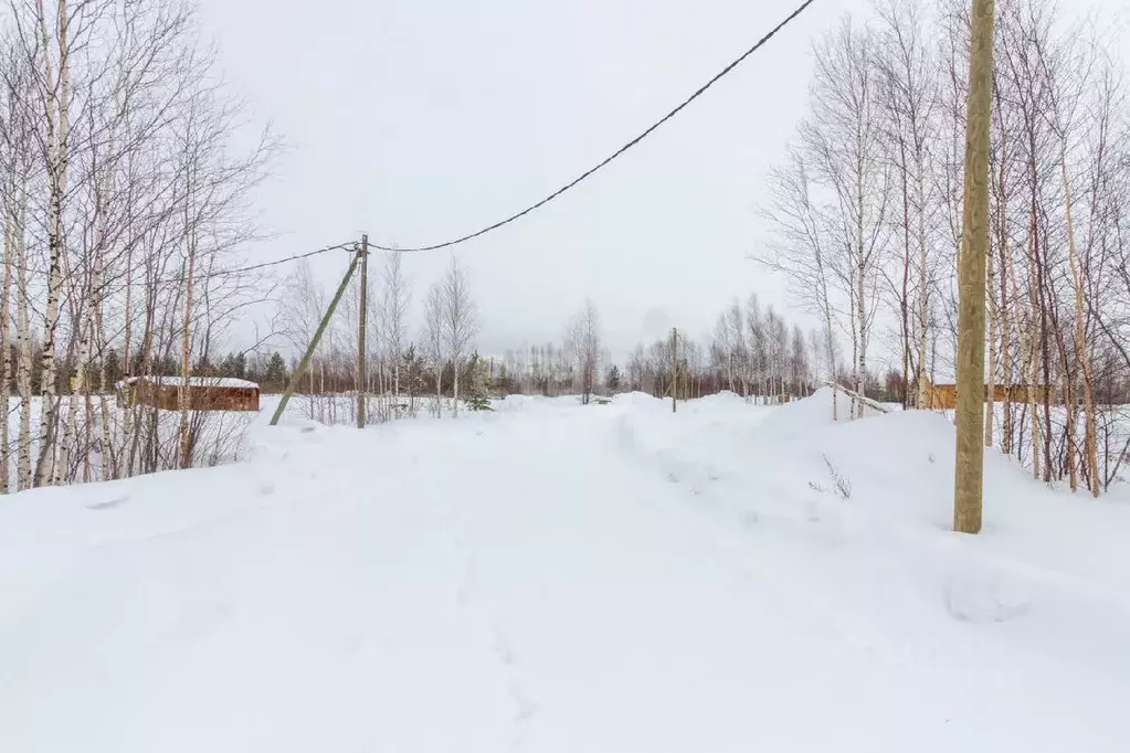 Участок в Ханты-Мансийский АО, Сургутского муниципального района тер., ... - Фото 1