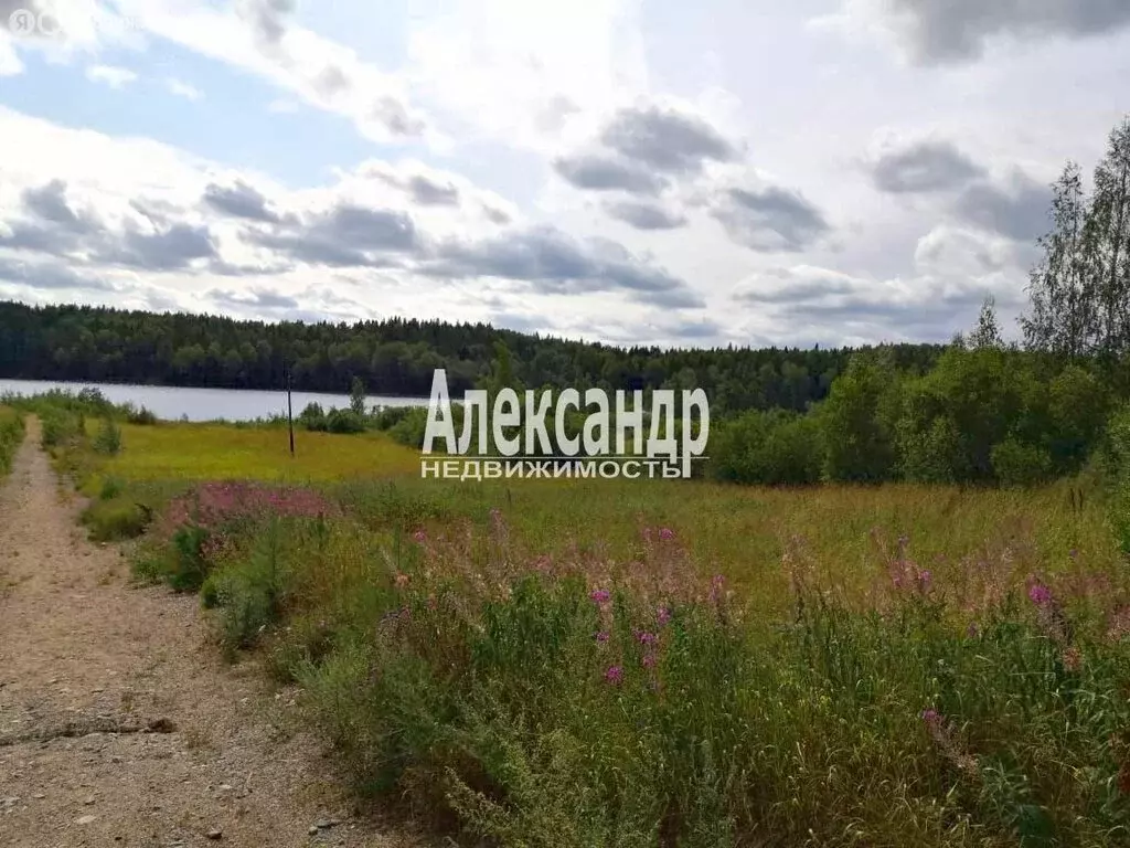 Участок в Республика Карелия, Лахденпохский муниципальный округ, ... - Фото 2