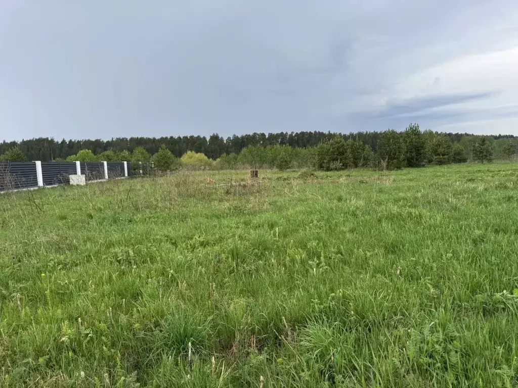 Участок в Тверская область, Калининский муниципальный округ, д. ... - Фото 2