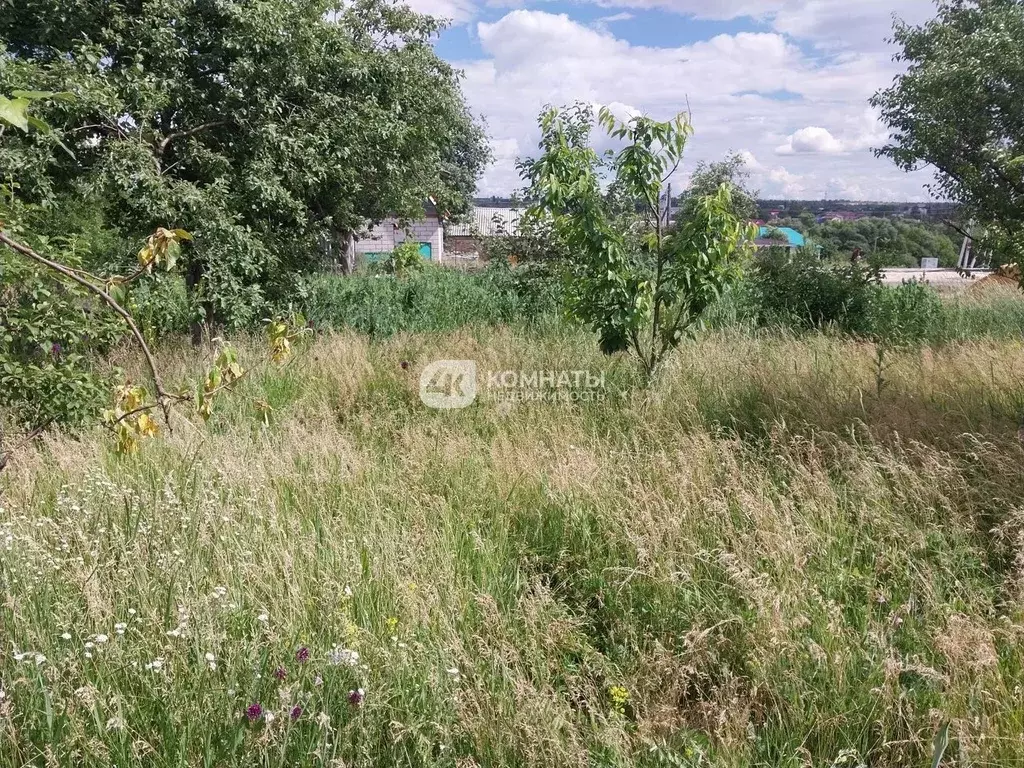 Участок в Воронежская область, Семилукский район, с. Девица ул. ... - Фото 2