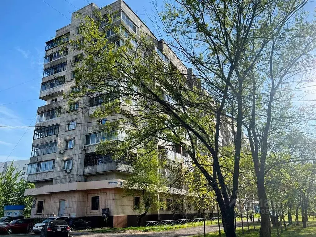 1-к кв. Хабаровский край, Хабаровск Южный мкр, ул. Панфиловцев, 36 ... - Фото 0