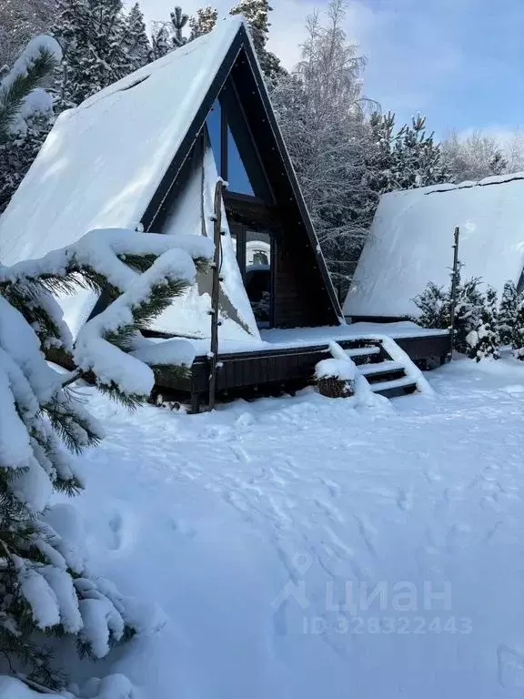 Дом в Брянская область, Брянск ул. Заповедная, 29А (48 м) - Фото 2