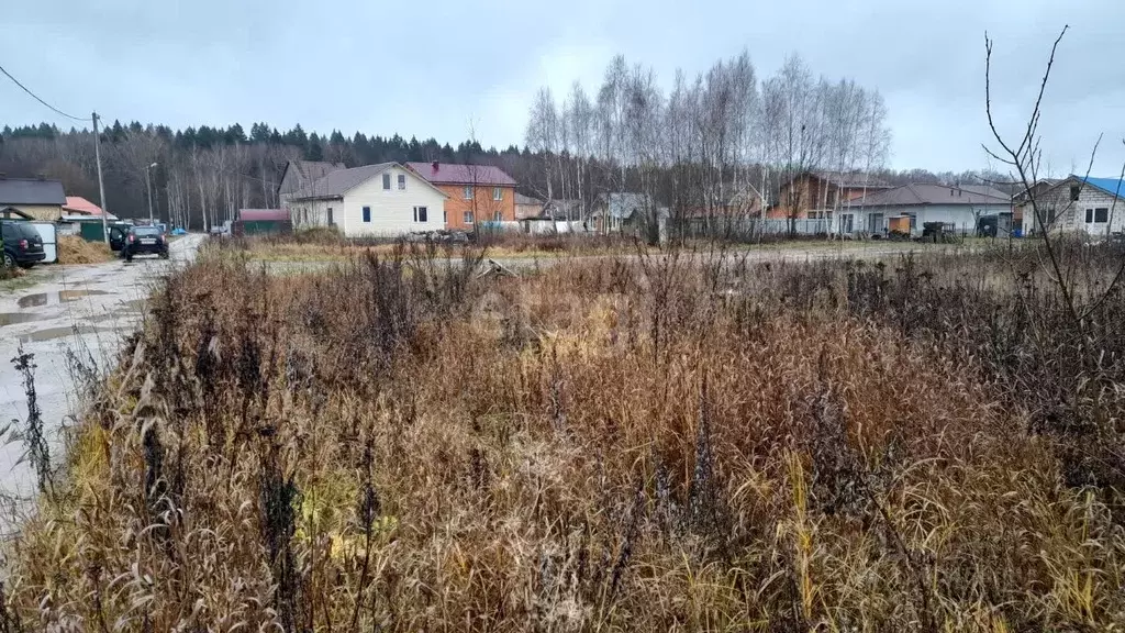 Участок в Калужская область, Боровский район, д. Кривское  (10.0 сот.) - Фото 2