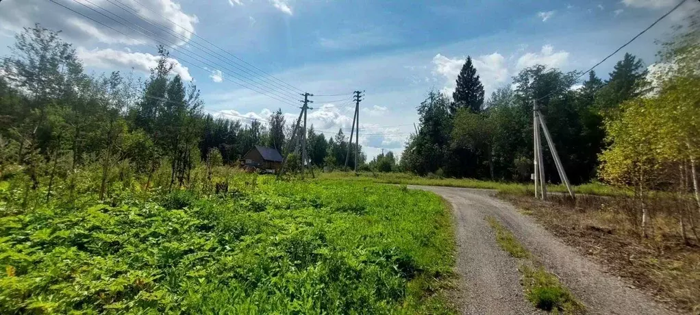 Участок в Московская область, Клин городской округ, д. Парфенькино  ... - Фото 0