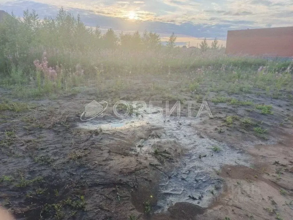 Участок в Тюменская область, Тюменский муниципальный округ, с. ... - Фото 2