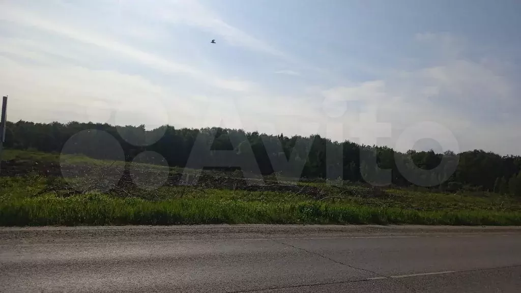 Участок 2 га (СНТ, ДНП) - Фото 0