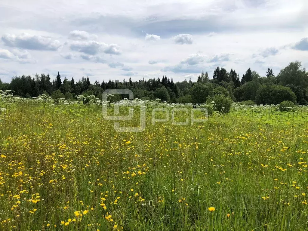 Участок в Московская область, Клин городской округ, д. Акатьево  ... - Фото 0