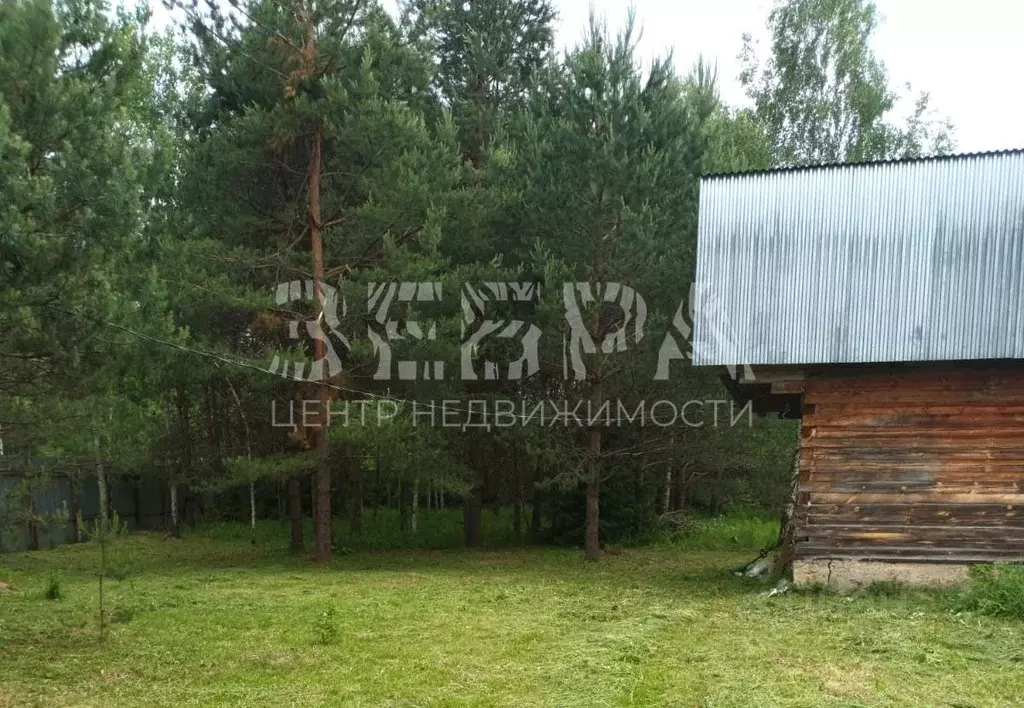 Участок в Владимирская область, Александровский район, Каринское ... - Фото 0