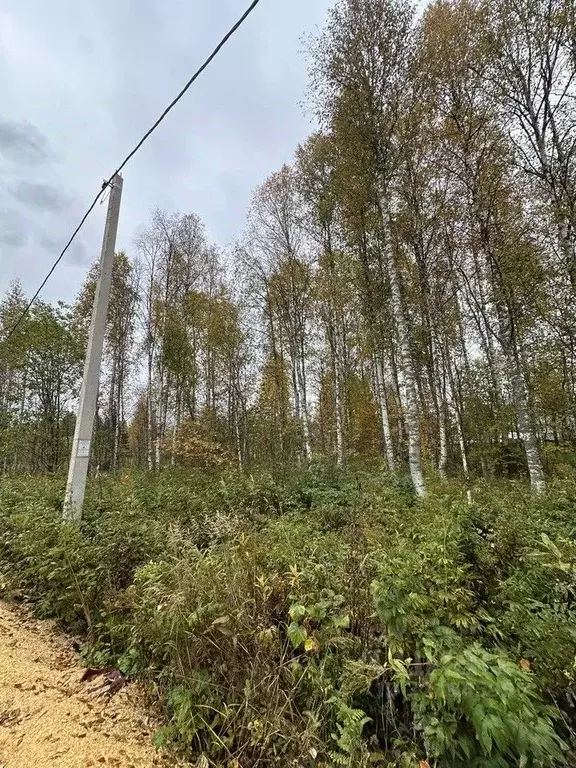 Участок в Архангельская область, Приморский муниципальный округ, ... - Фото 0