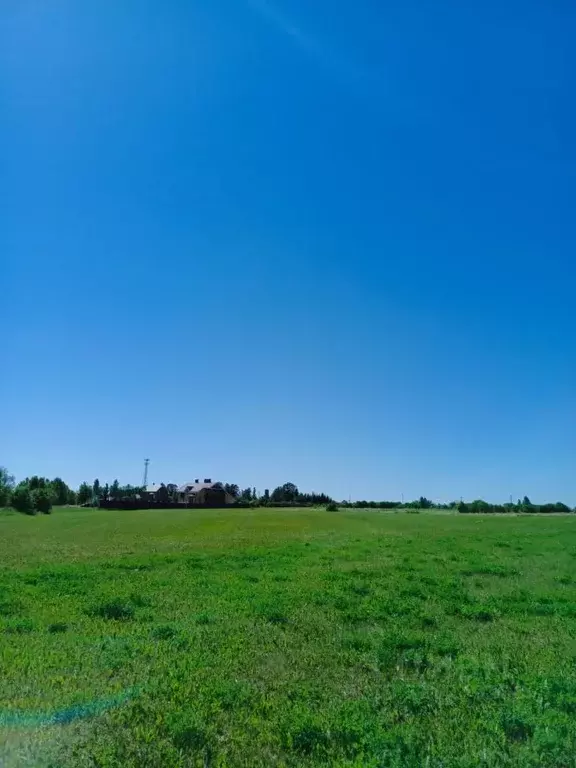 Участок в Чувашия, Моргаушский муниципальный округ, д. Шомиково  (12.0 ... - Фото 1