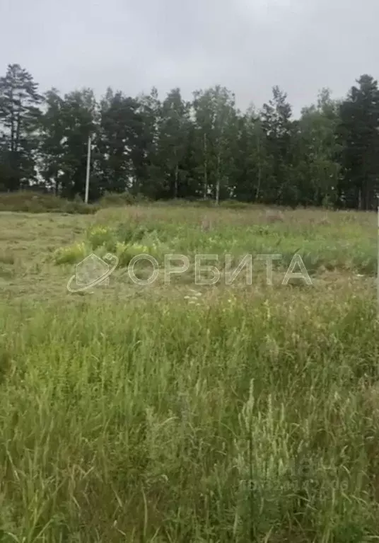 Участок в Тюменская область, Нижнетавдинский муниципальный округ, ... - Фото 1