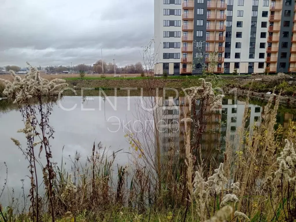 1-к кв. Калининградская область, Калининград Тихорецкий проезд, 5к1 ... - Фото 1