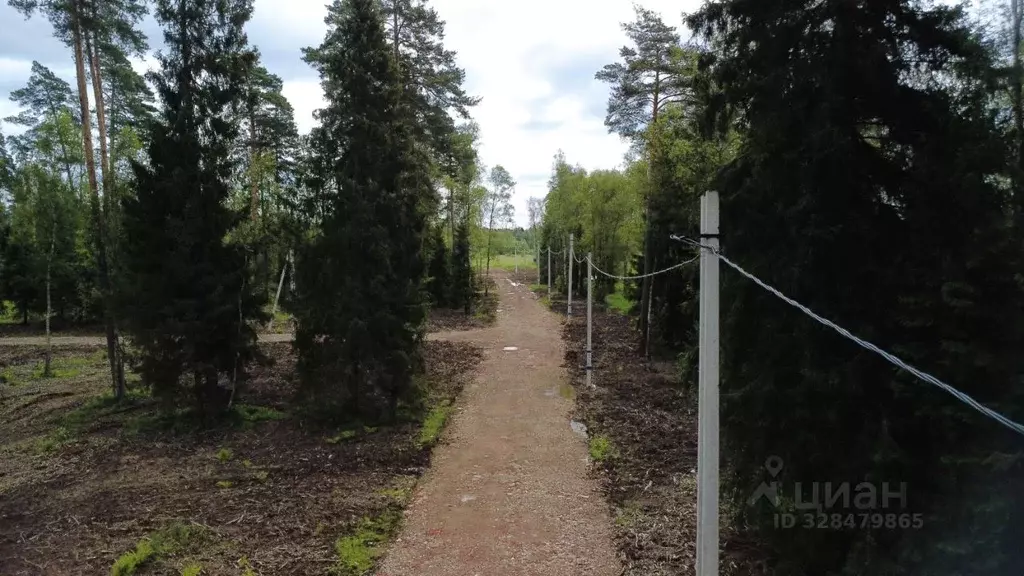 Участок в Московская область, Щелково городской округ, Литвиново ... - Фото 1