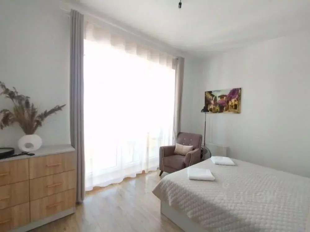 1-к кв. Калининградская область, Янтарный пгт ул. Балебина, 15 (43.7 ... - Фото 1