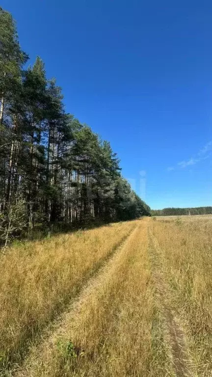 Участок в Нижегородская область, Балахнинский муниципальный округ, д. ... - Фото 1