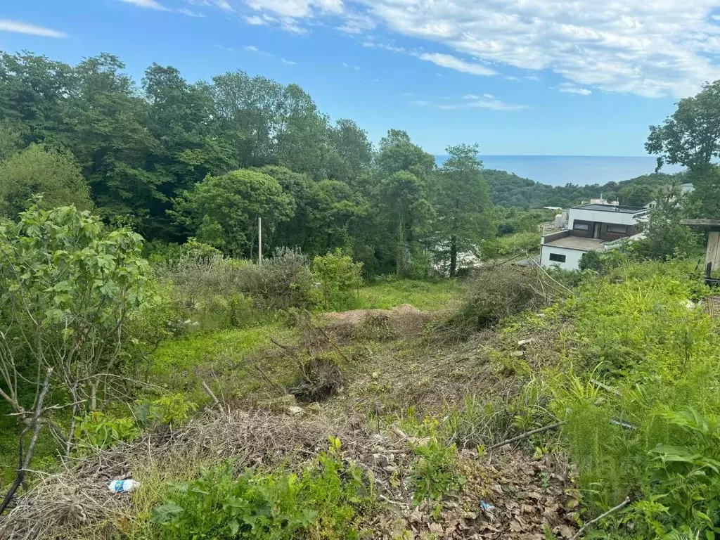 Участок в Краснодарский край, Сочи Чаевод СНТ, ул. Туманяна (6.0 сот.) - Фото 2