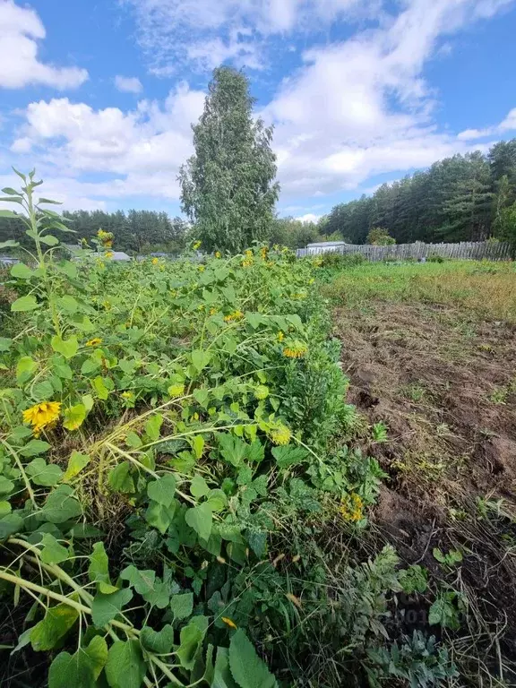 Участок в Красноярский край, Сосновоборск Дружба НОТ,  (4.5 сот.) - Фото 1