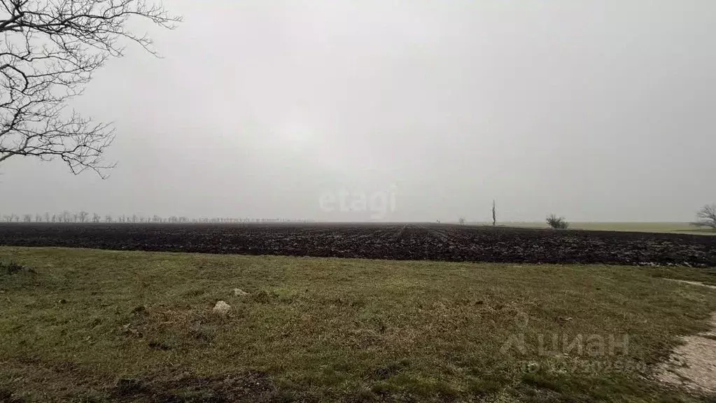 Участок в Крым, Симферопольский район, с. Журавлевка  (1153.45 сот.) - Фото 1