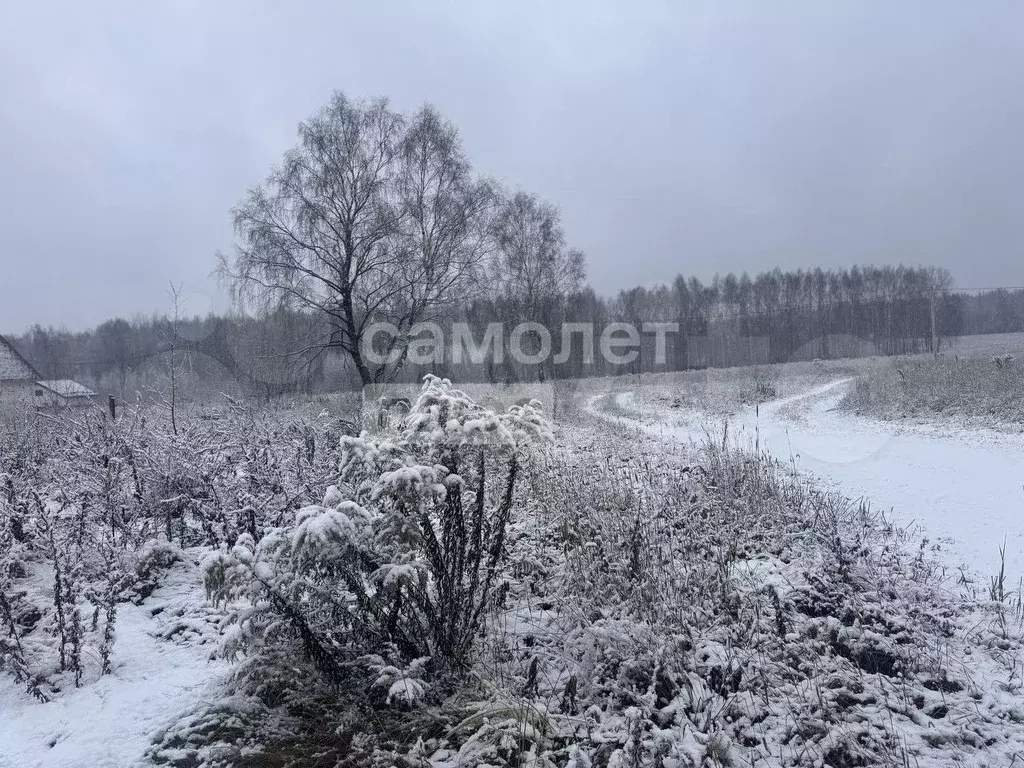 Участок 100 сот. (ИЖС) - Фото 1