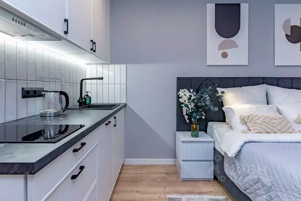 1-к кв. Санкт-Петербург просп. Энергетиков, 2к2 (22.0 м) - Фото 2