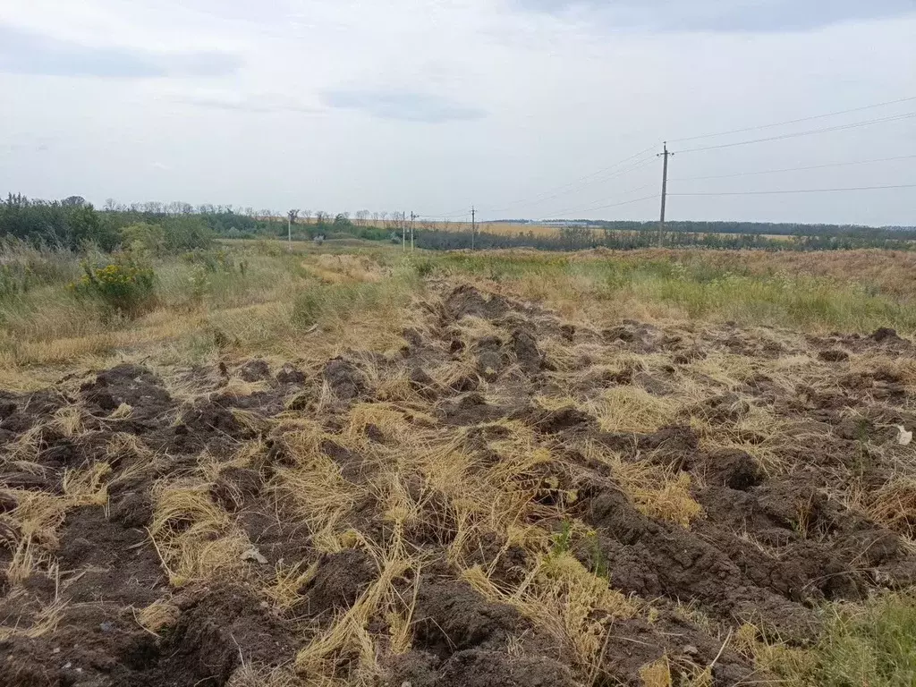 Участок 16 сот. (ИЖС) - Фото 1