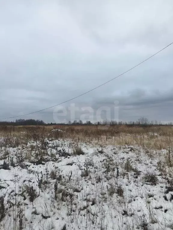 Участок в Костромская область, Кострома пос. Волжский,  (9.28 сот.) - Фото 0